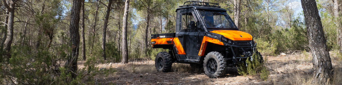 Corvus Terrain DX4 terepen az erdőben erdészeti munkákra kiváló UTV